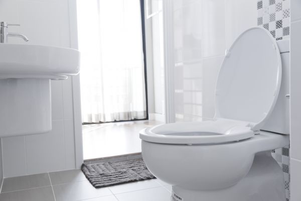 Cost of Toilet Relocation in Kihei